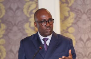 Kenya Cannot Harbour Criminals, The Turkish Nationals Had To Go – PS Sing’oei