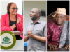 Dhadho, Kang’ata and Waiguru Shine In New Kenya Track Poll on Governors’ Performance