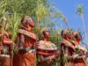 Beyond Survival: The New Economics of Northern Kenya